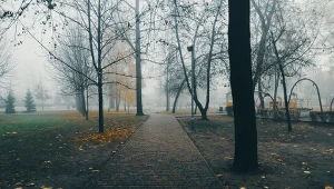 Piątek między słońcem a mgłami. Miejscami trzeba uważać