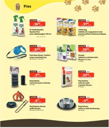 Wszystko dla Twojego pupila – Kakadu