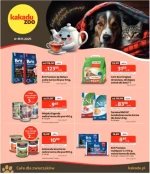 Wszystko dla Twojego pupila – Kakadu