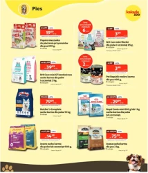 Wszystko dla Twojego pupila – Kakadu