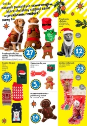 Świąteczne inspiracje - TEDi