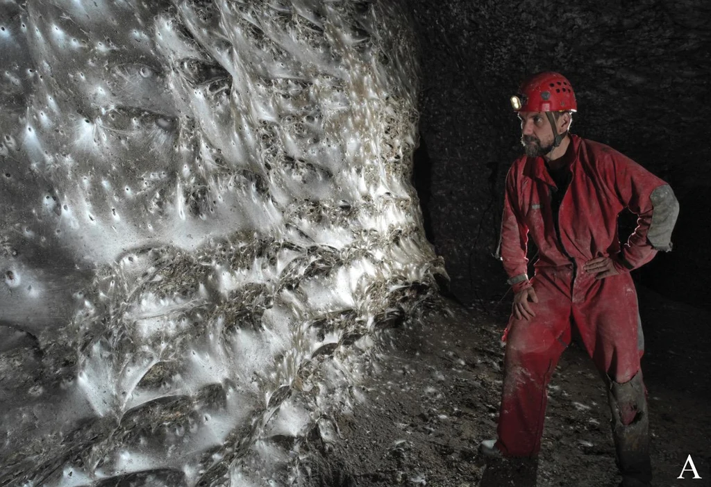 Największa sieć pajęcza na świecie odkryta na Bałkanach