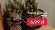 Pędzelek Anide