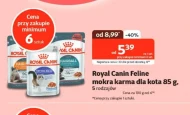 Вологий корм для котів Royal Canin