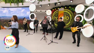 "Piątek, piąteczek, piątunio". Kultowy zespół z nową piosenką w "halo tu polsat"