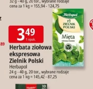 Herbata ziołowa Herbapol