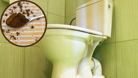 ​Goście stoją w drzwiach, a z toalety śmierdzi? Wrzuć to na 15 minut