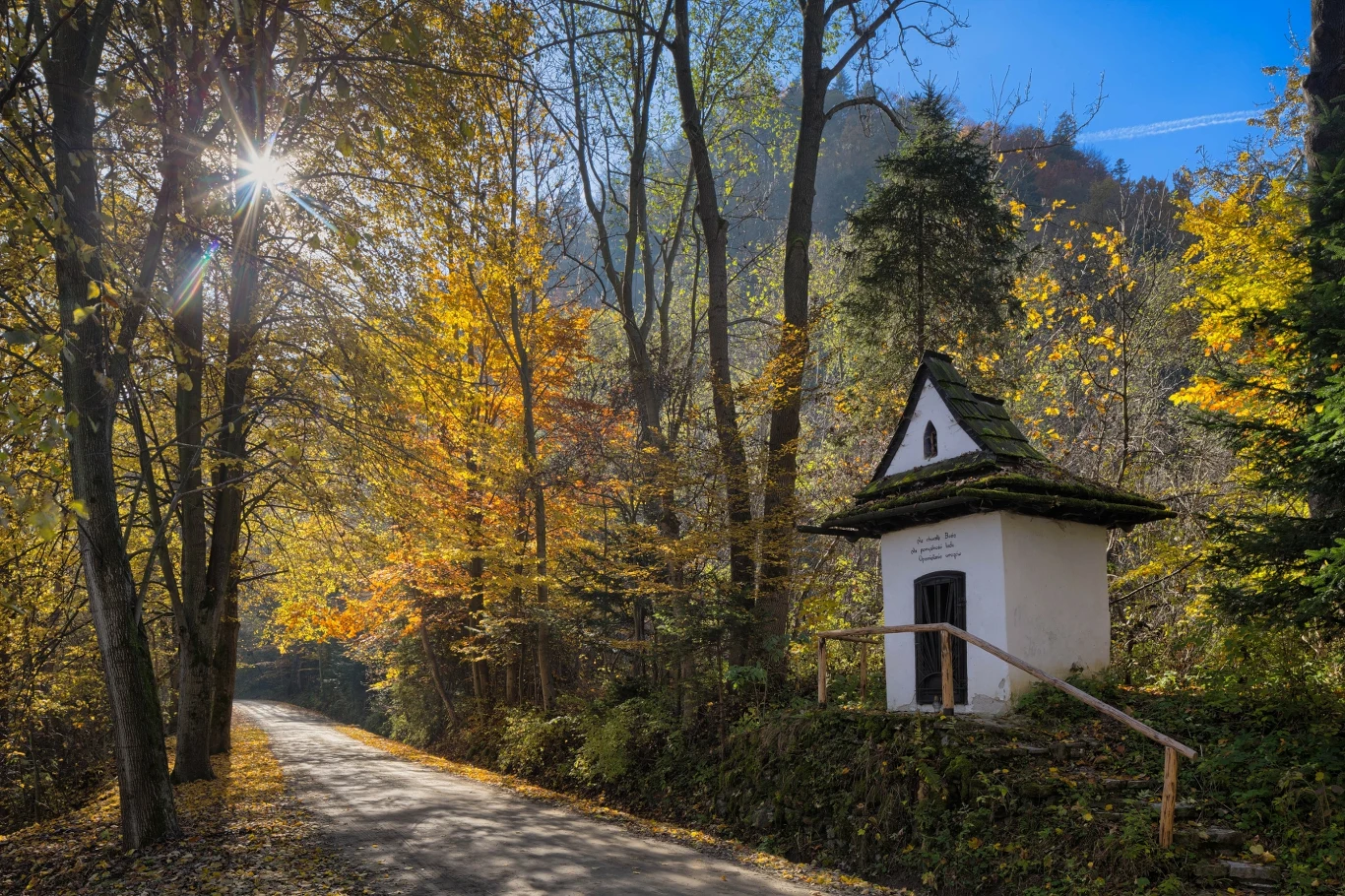 Najkrótszy szlak na Sokolicę pokonasz w 1,5 godziny. To idealna opcja na jesienne wędrówki w górach Najkrótszy szlak na Sokolicę pokonasz w 1,5 godziny. To idealna opcja na jesienne wędrówki w górach