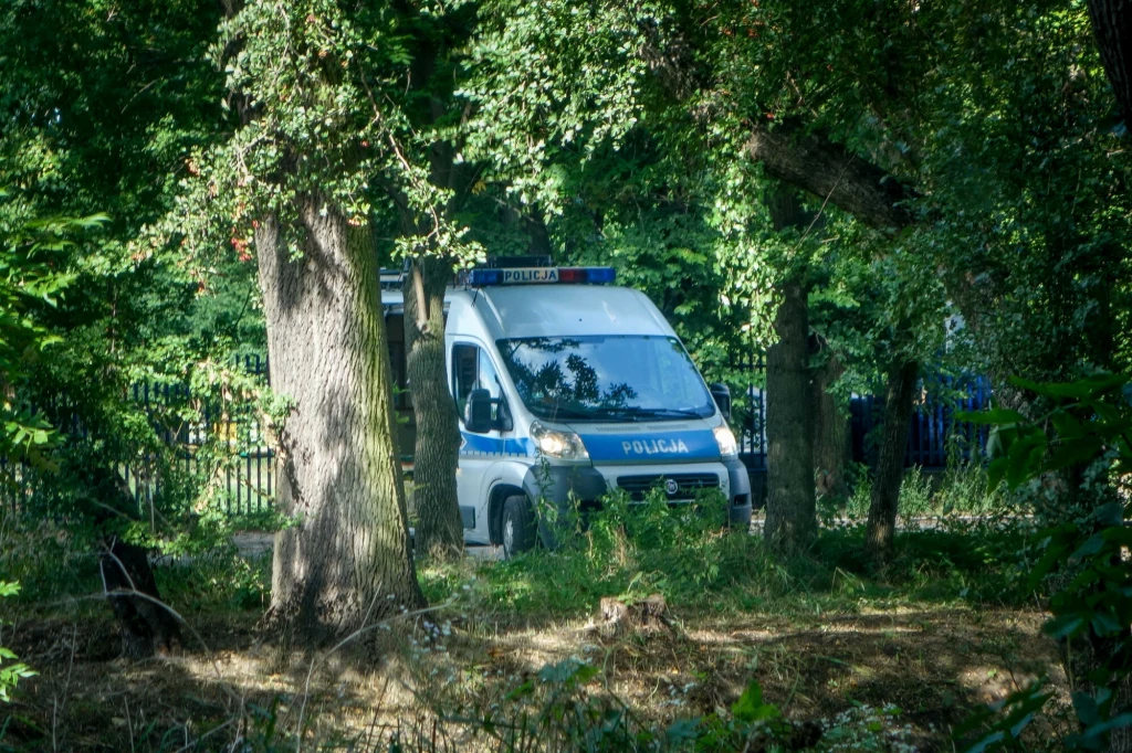 Tragiczny finał poszukiwań. 43-letni grzybiarz znaleziony martwy, zdj. ilustracyjne Radiowóz policyjny zaparkowany wśród drzew w lesie, częściowo ukryty za pniami i gęstą roślinnością, w tle metalowe ogrodzenie.
