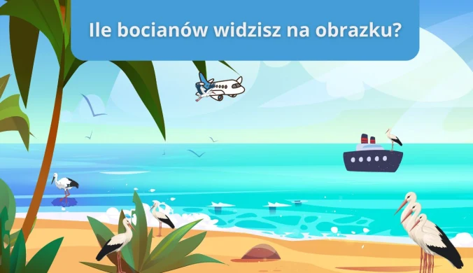 Ekstremalnie trudny test na spostrzegawczość. Czy twoje bystre oko cię nie zawiedzie?