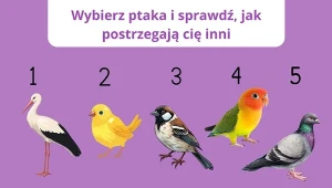 Jakie robisz wrażenie na innych. Ten psychotest wyjawi całą prawdę