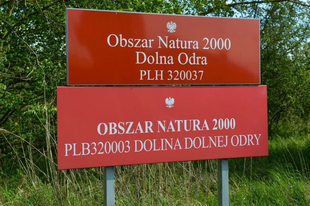 Prezydent zawetował ustawę ws. utworzenia Parku Narodowego Doliny Dolnej Odry