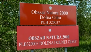 Prezydent zdecydował ws. nowego parku narodowego. "Zniweczył pan pracę"