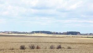 Kogo obciąża afera z działką pod CPK? Polacy zabrali głos