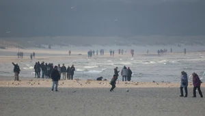 Protest ws. inwestycji Polski nad Bałykiem. "Grozi nam nowa eskalacja"