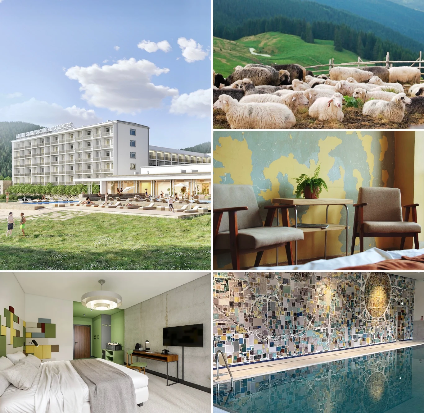Kompozycja pięciu zdjęć ukazująca nowoczesny budynek hotelowy w otoczeniu górskim, stado owiec na zielonej łące, hotelowe wnętrze z dwoma krzesłami i rośliną, pokój hotelowy z dużym łóżkiem oraz kryty basen z kolorową mozaiką na ścianie.