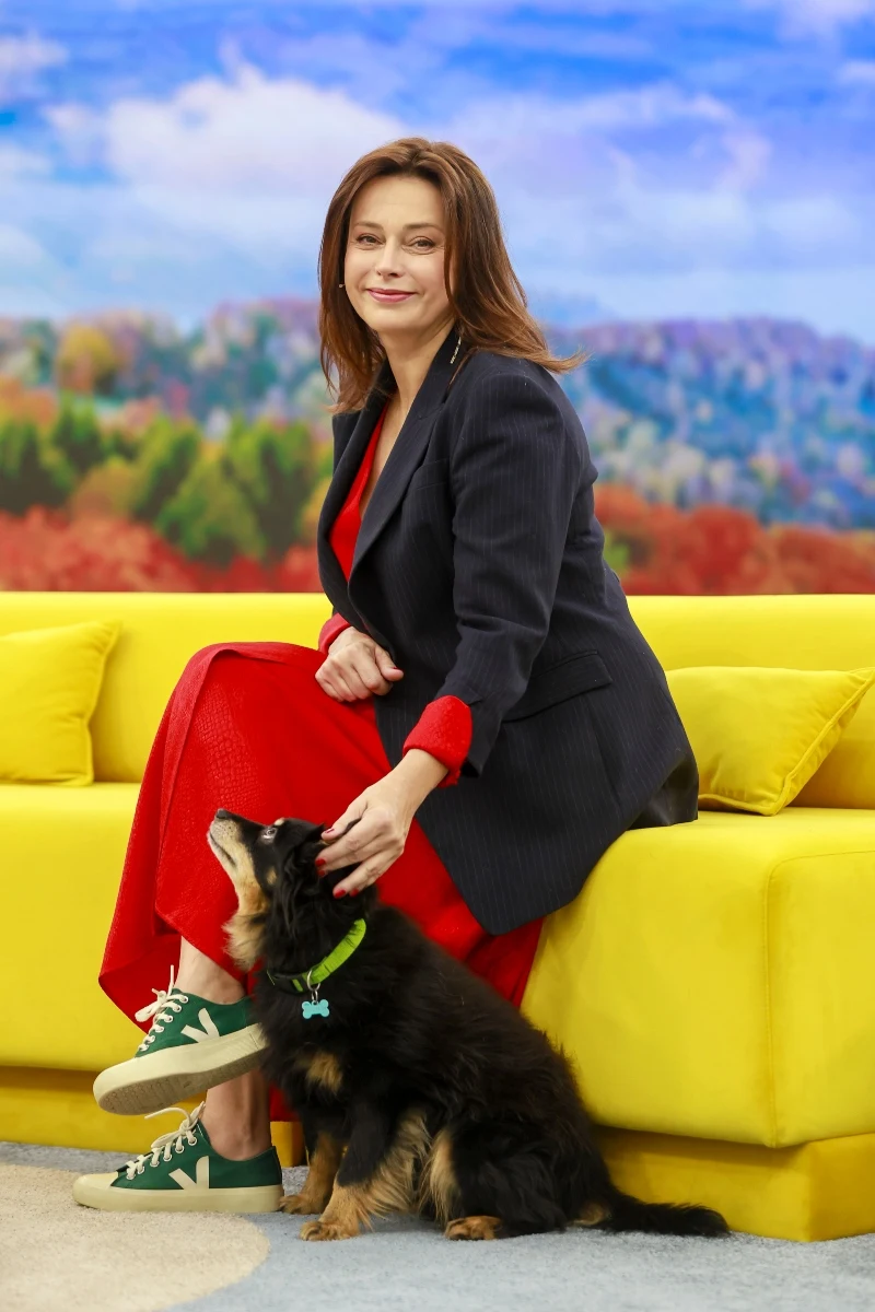 Renata Dancewicz do studia "halo tu polsat" przyszła z psem Myszkinem