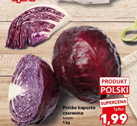 Kapusta czerwona Polski