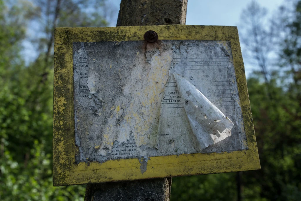 Stara, zniszczona tablica informacyjna z przyblakłymi i częściowo zerwanymi warstwami papieru, przymocowana gwoździem do drewnianego słupa, otoczona zielonymi drzewami w tle.