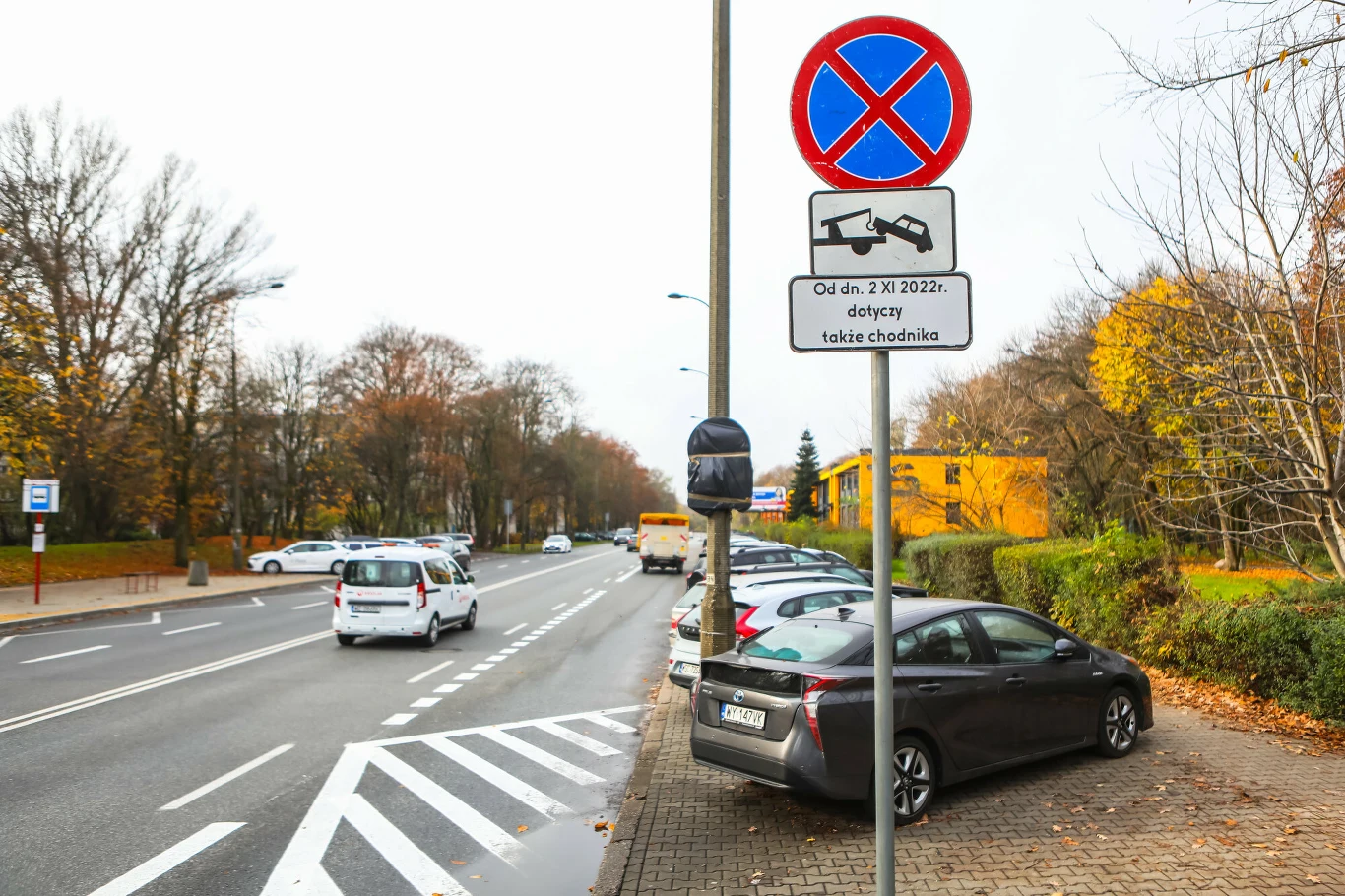 Znak B-36 - Zakaz zatrzymywania się Znak zakazu zatrzymywania się z tabliczką informującą o zakazie parkowania także na chodniku od określonej daty. W tle zaparkowane samochody oraz ruchliwa ulica, pobocze obsadzone krzewami i drzewami w jesiennych kolorach.