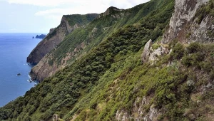 Dramatyczny finał poszukiwań na Maderze. Odnaleziono ciało Polaka