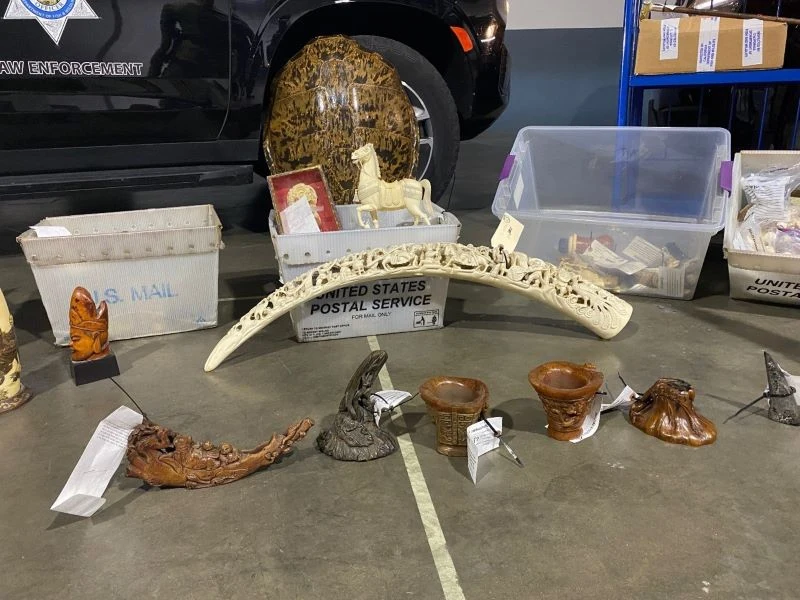 Przechwycone w Kaliforni wyroby z kości słoniowej i rogów nosorożców