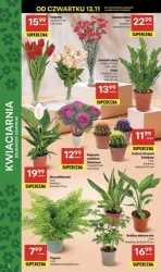 Koszyk pełen okazji – Delikatesy Centrum