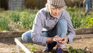 Egzotyczne, pyszne i zdrowe - te warzywa warto uprawiać w ogrodzie.