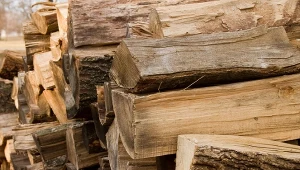 Ile drewna potrzeba, żeby ogrzać dom o powierzchni 100 m²? Fot. Kevin_LS/Canva Pro