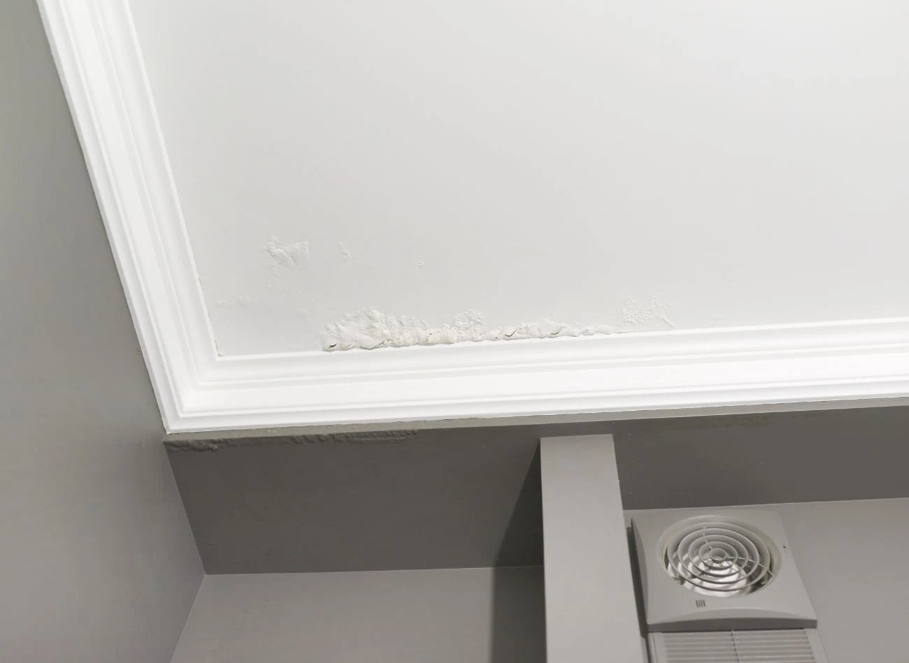 Grzyb na ścianach i suficie zmniejsza estetykę wnętrza, skutki jego obecności mogą być znacznie poważniejsze i wpływać na stan zdrowia domowników.