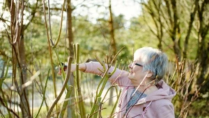 Jakie rośliny trzeba przycinać jesienią?