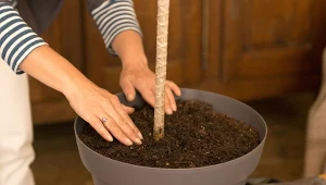 Przepis na idealne podłoże dla twoich roślin doniczkowych.