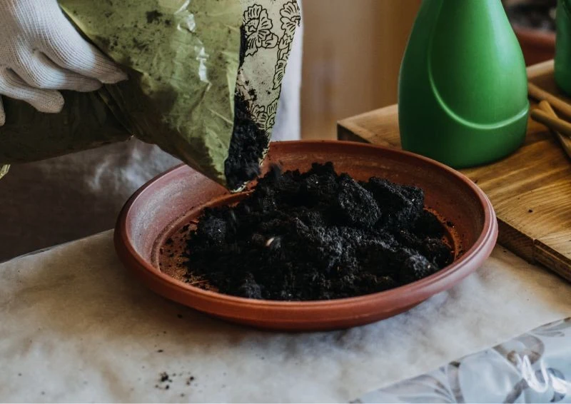 Bigos dla kwiatów możesz wykonać samodzielnie, utrzymując odpowiednie proporcje składników.