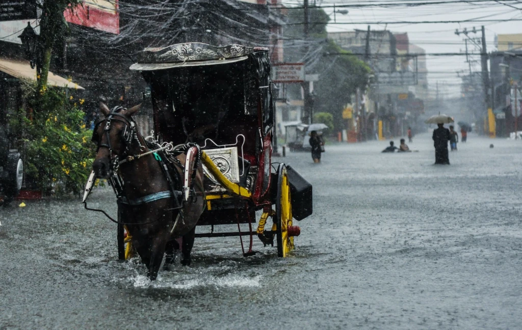 Skutki ataku supertajfunu Fung-wong 