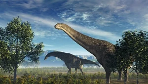 Największe zwierzęta lądowe w dziejach lęgły się małych jaj. Jakim cudem?