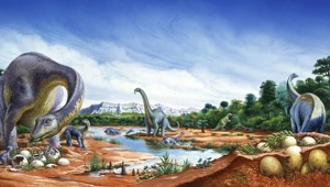 Jaja na końcu świata. Paleontolodzy odkryli sekret tytanozaura