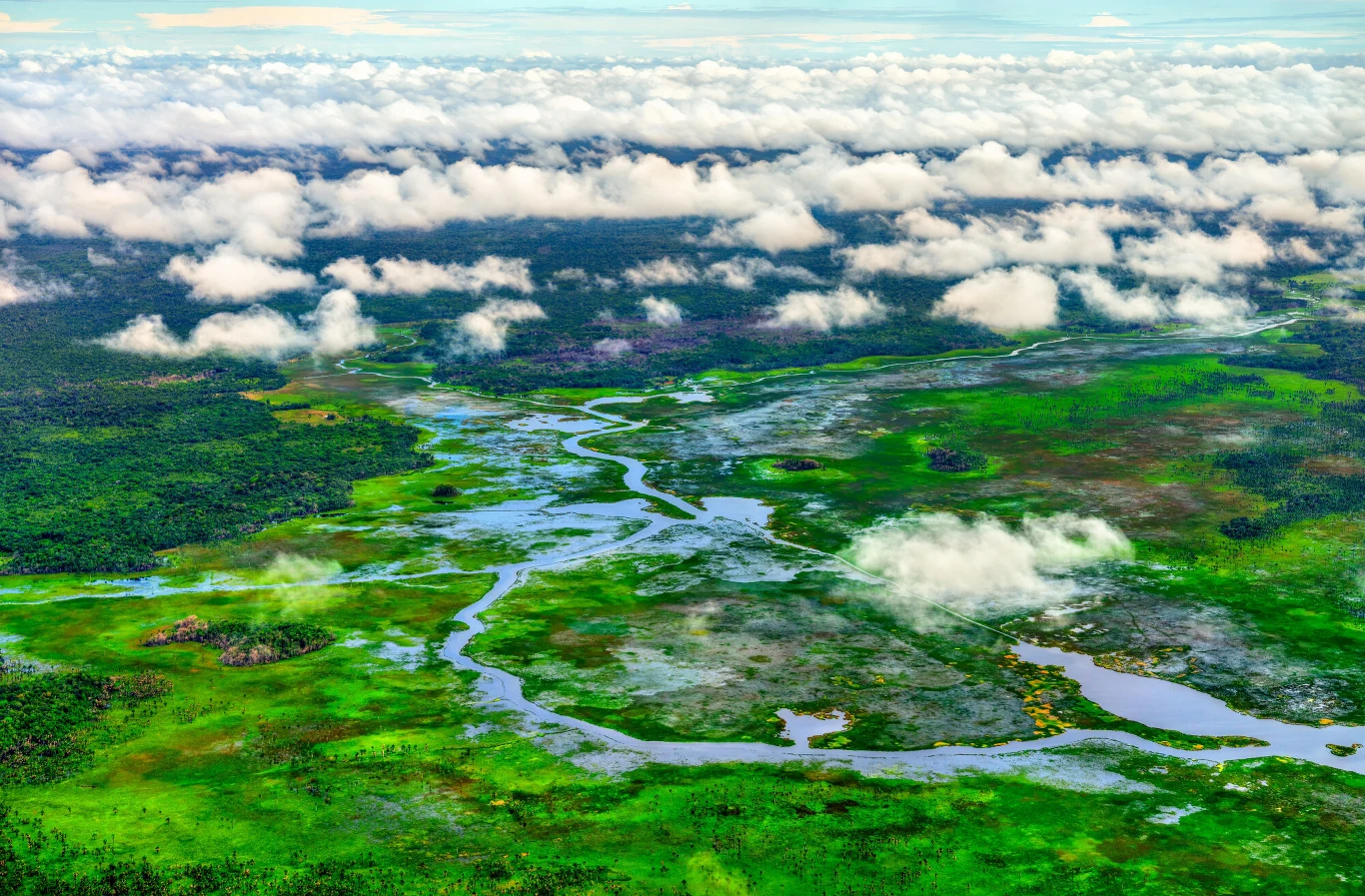 Amazonia to jeden z kluczowych ekosystemów świata. Jest na granicy załamania Obszerny krajobraz bagnisty z wijącą się rzeką otoczoną bujną zielenią, gdzieniegdzie widoczne niewielkie rozlewiska wodne, nad całością unoszą się niskie, białe chmury.