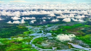 Wielkie jeziora stały się kałużami. Woda w Amazonii osiąga 40 stopni