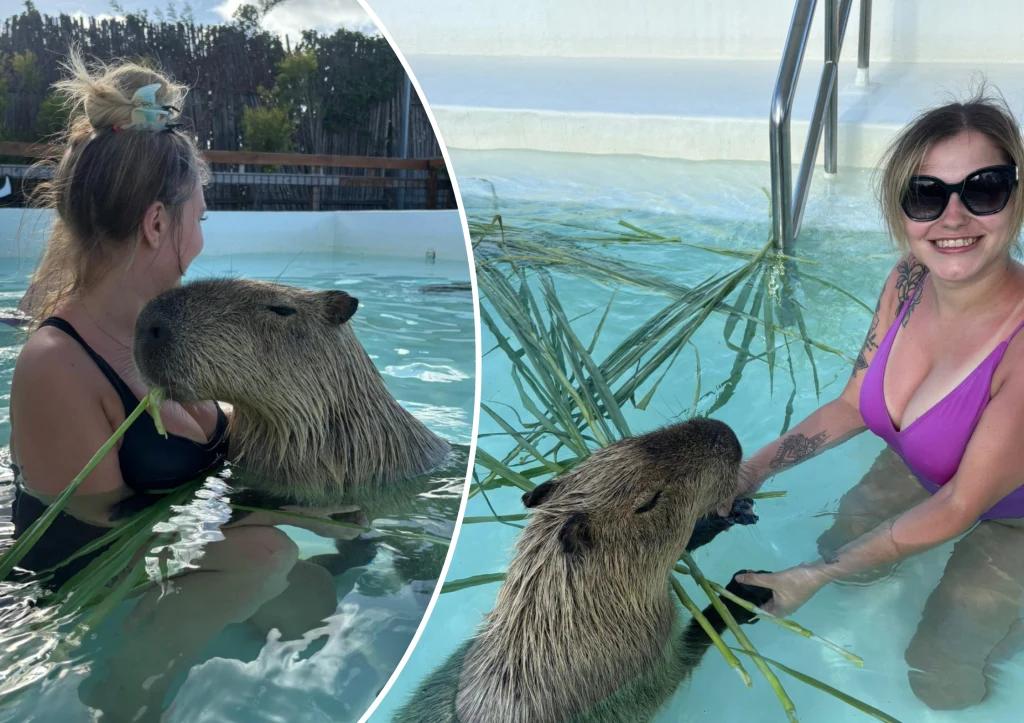 Polki pływały z kapibarami w basenie. Zdradziły, czego można się spodziewać