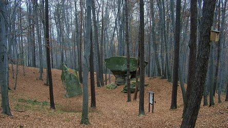 Skałki Wiśnicko-Lipnickiego Parku Krajobrazowego 