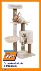 Promocja tygodnia - Action