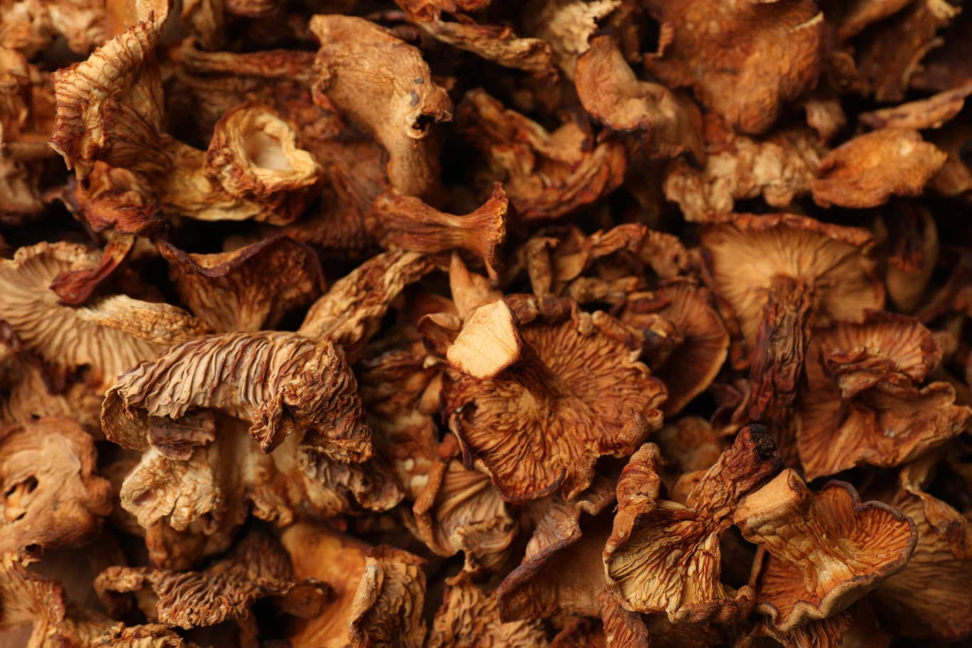 Sezon na świeże kurki trwa krótko, dlatego coraz większą popularnością cieszą się ich suszone i sproszkowane wersje.