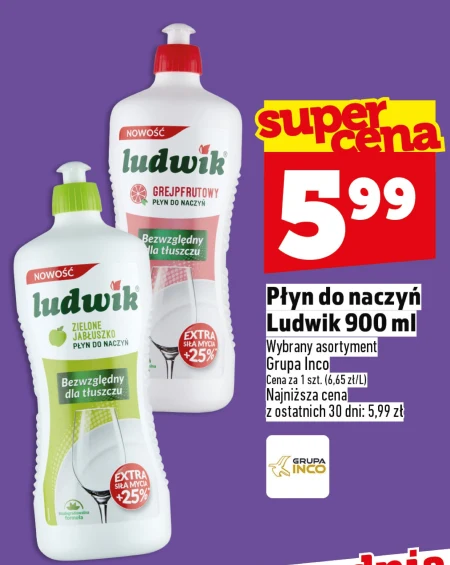 Засіб для миття посуду Ludwik