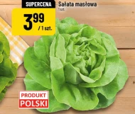 Масляний салат Polski