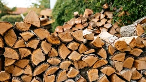 Jak sprawdzić wilgotność drewna opałowego? Pomoże test z folią spożywczą