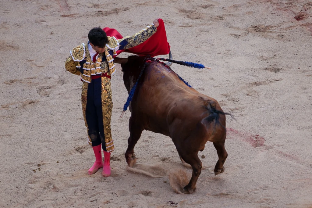 Walki byków w Pampelunie odbywają się co roku podczas festiwalu San Fermin