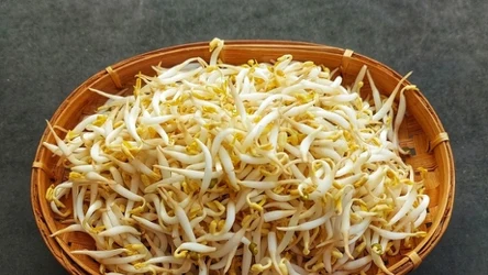 Czy kiełki fasoli mung są zdrowe? Kto powinien je spożywać?