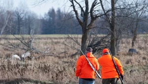 Tragiczny finał polowania na Lubelszczyźnie. Nie żyje 68-latek