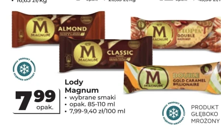Lody Magnum