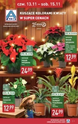 Weekend super cen - Aldi